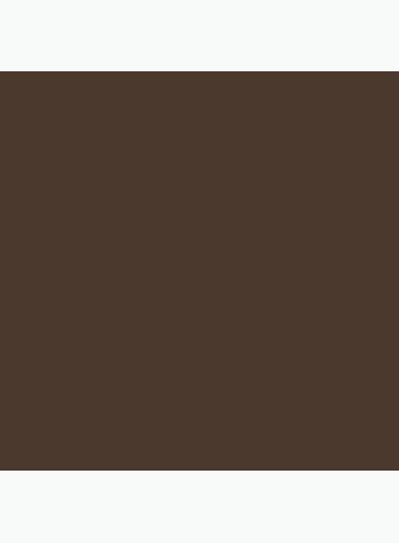 Bona Courtlines Floor Paint - Brown - Qt - Image 1